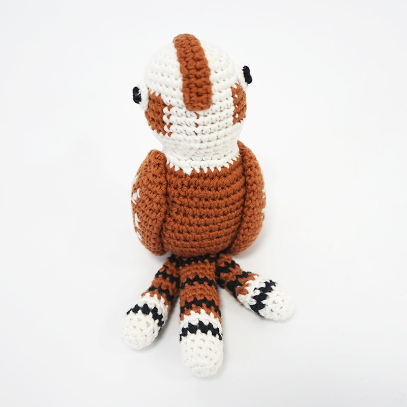 Australian Kingfisher